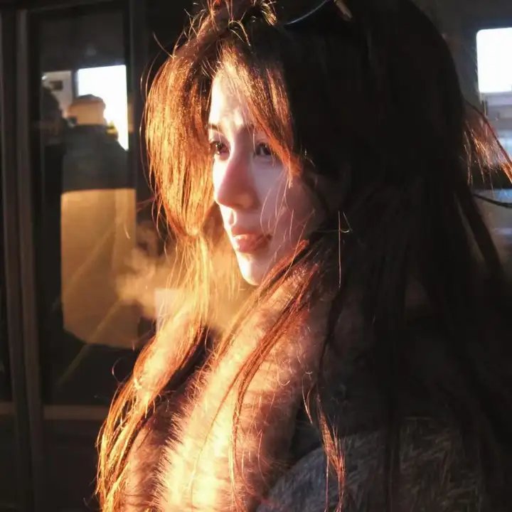 探险活宝第八季